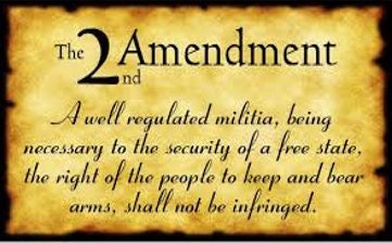 2nd Amendment Penblank