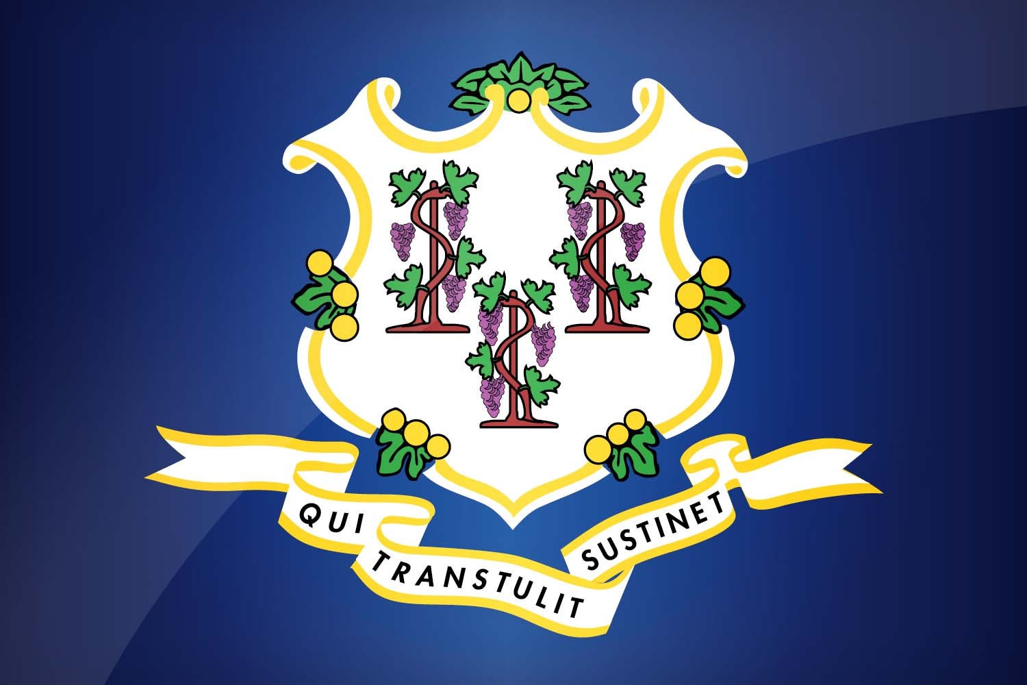 Connecticut State Flag Pen Blank