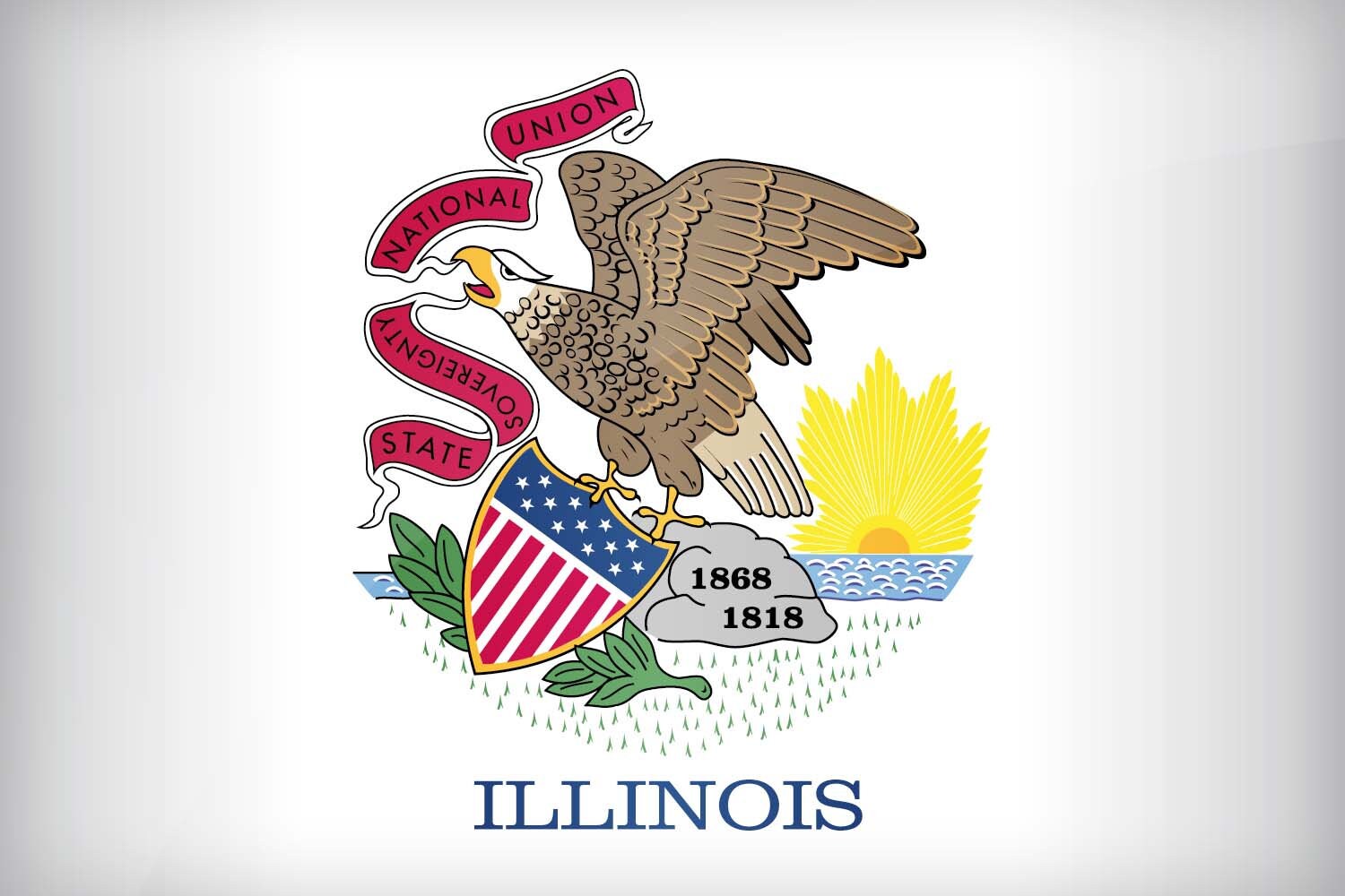 Illinois State Flag Pen Blank
