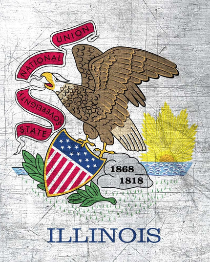 Illinois State Flag Pen Blank