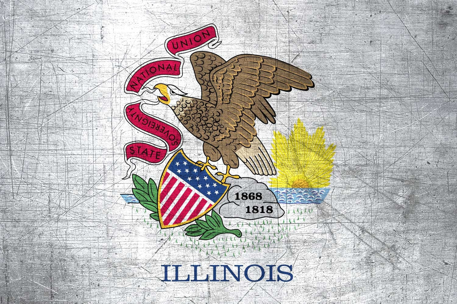 Illinois State Flag Pen Blank