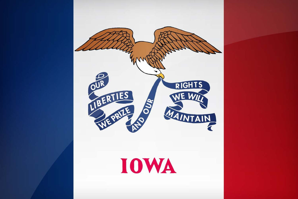 Iowa State Flag Pen Blank