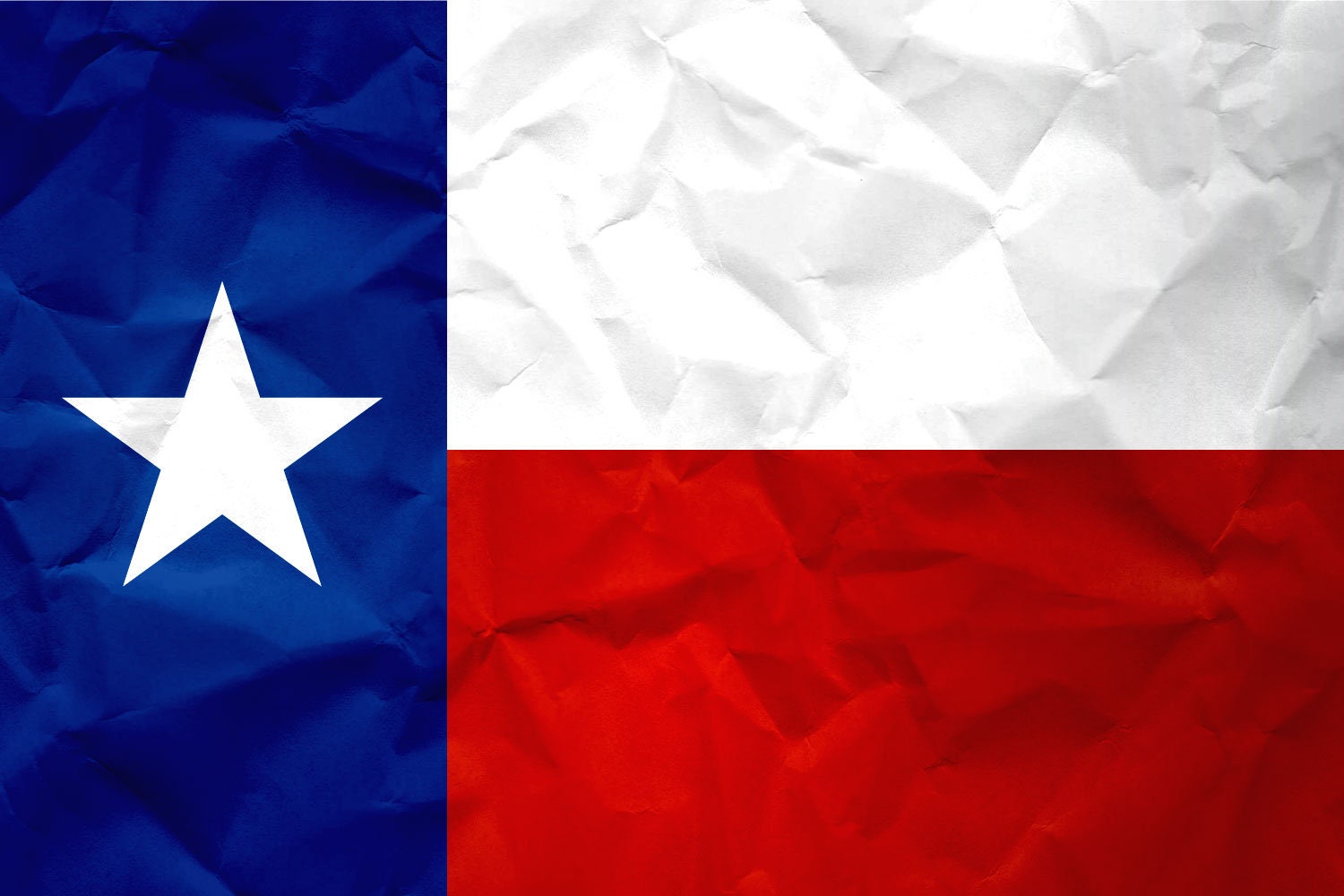 Texas State Flag Pen Blank