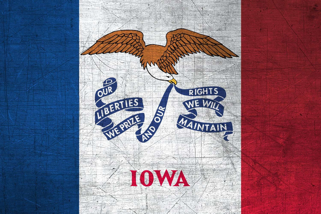 Iowa State Flag Pen Blank