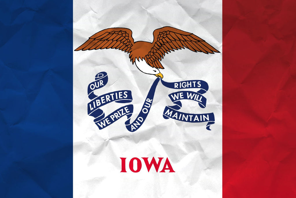 Iowa State Flag Pen Blank