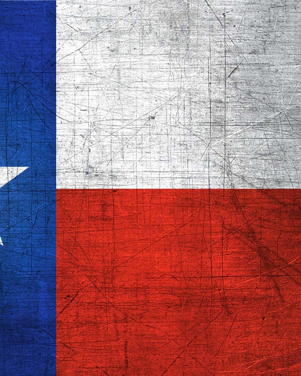 Texas State Flag Pen Blank