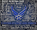 Licensed US Air Force with words