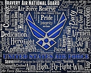 Licensed US Air Force with words