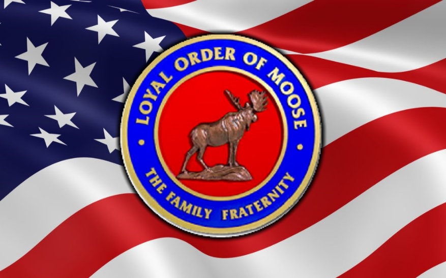 Loyal order of Moose on US Flag