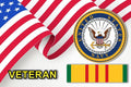 Vietnam Combat badge (Choose Your Branch of Choice)