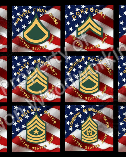 US Army Enlisted Rank Pen blanks